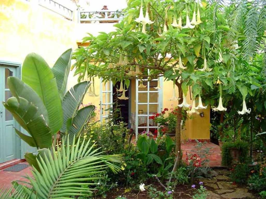 مبيت وإفطار الوالدية Dar Beldi المظهر الخارجي الصورة